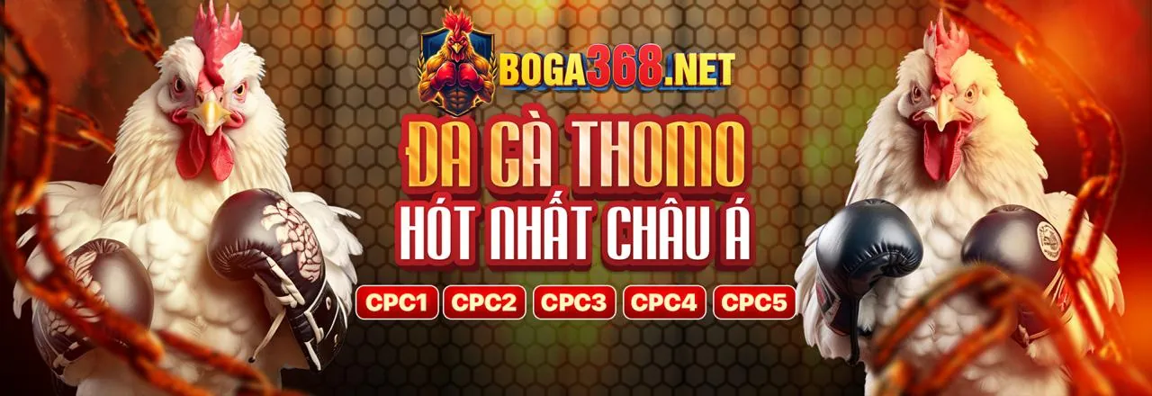 Hình ảnh đại diện cho Điều khoản và Điều kiện của caxeng chính thức