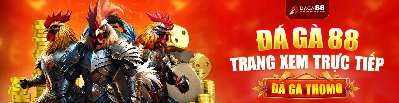 Đá gà trực tiếp tại caxeng chính thức